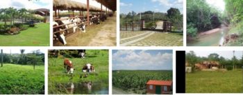 Fincas en venta en San Pedro de Macorís, La Romana, Hato Mayor