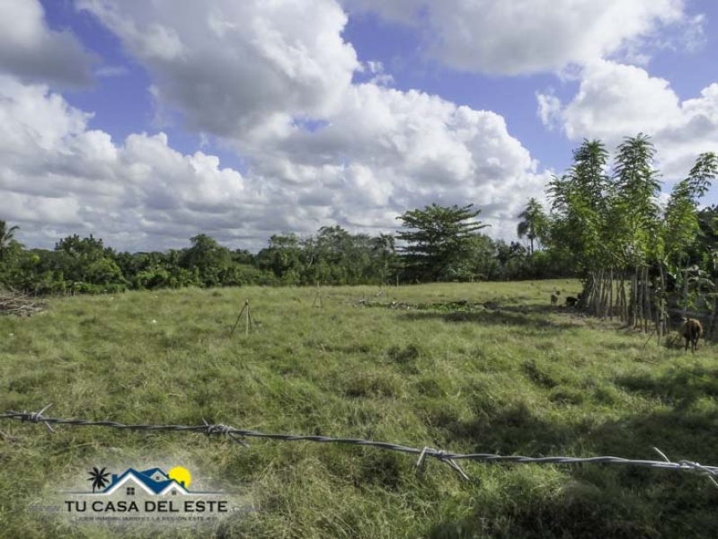 En Venta Excelente Finca en Ramon Santana, SPM