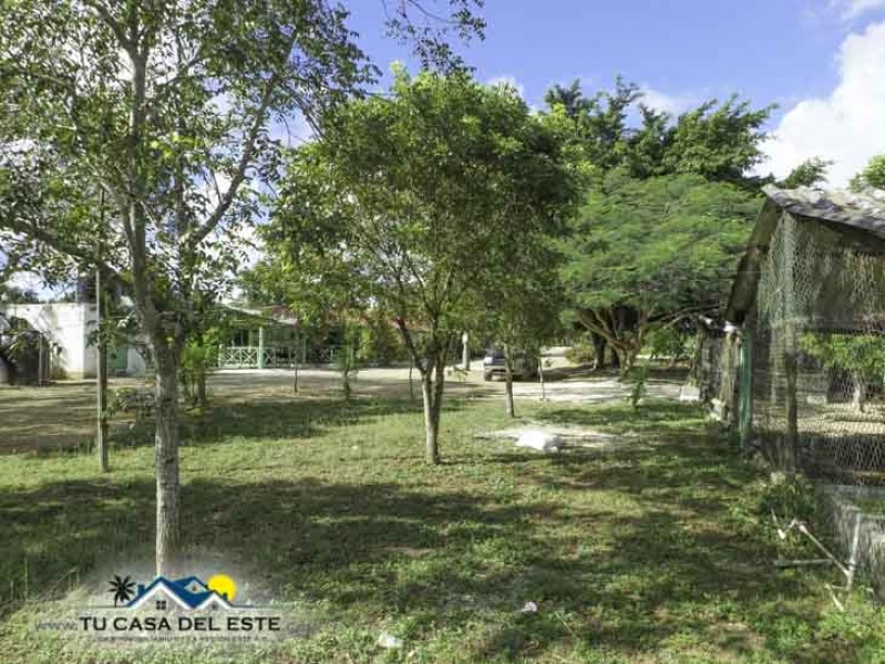 En Venta Excelente Finca en Ramon Santana, SPM