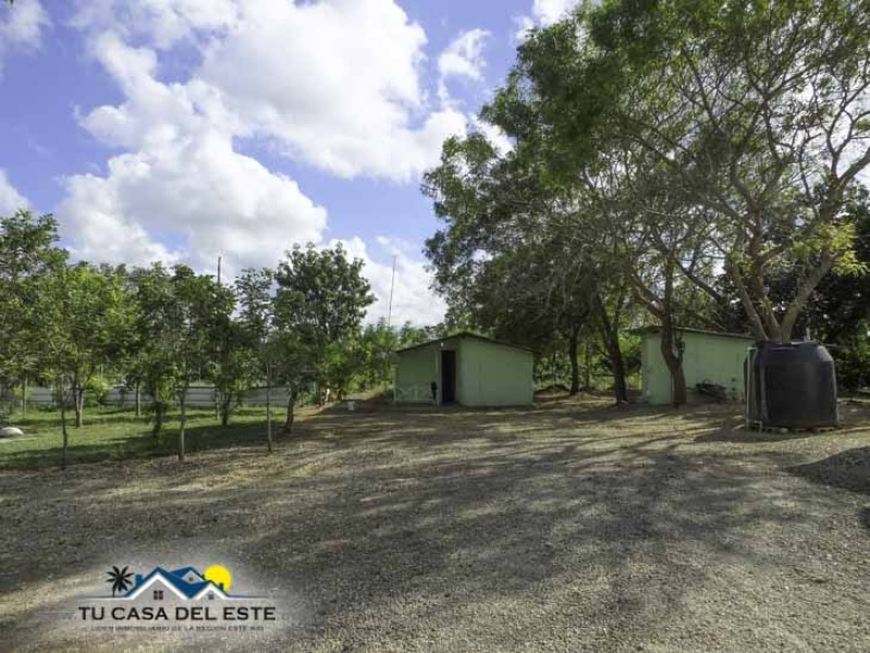 En Venta Excelente Finca en Ramon Santana, SPM