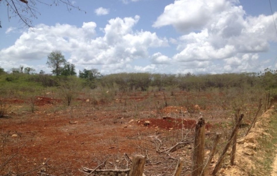 En Venta Terrenos en El Frutal, La Romana