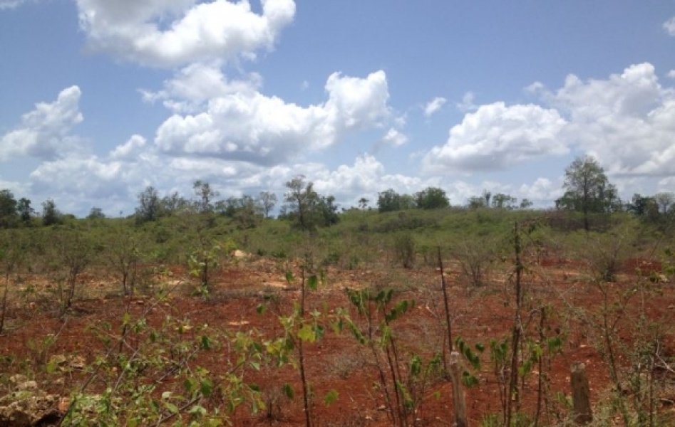 En Venta Terrenos en El Frutal, La Romana