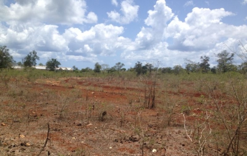 En Venta Terrenos en El Frutal, La Romana